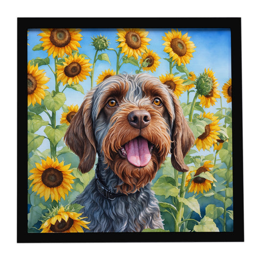 Buy this Wirehaired Pointing Griffon in Sunflowers Framed Metal Print