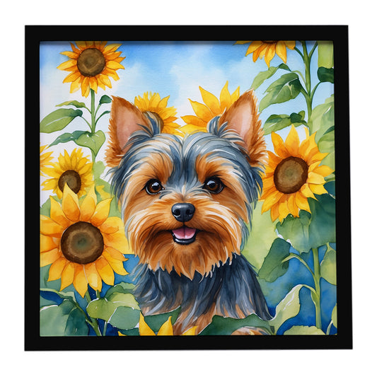 Buy this Yorkshire Terrier in Sunflowers Framed Metal Print