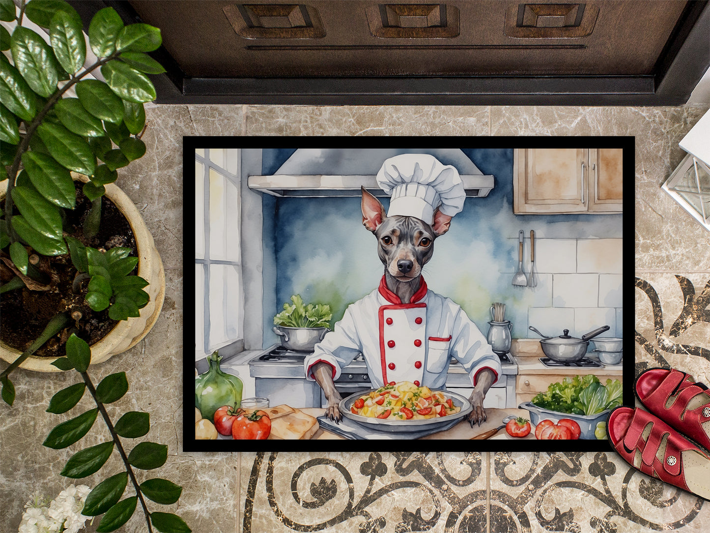 American Hairless Terrier The Chef Doormat