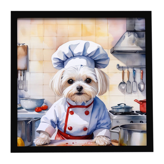 Buy this Maltese The Chef Framed Metal Print