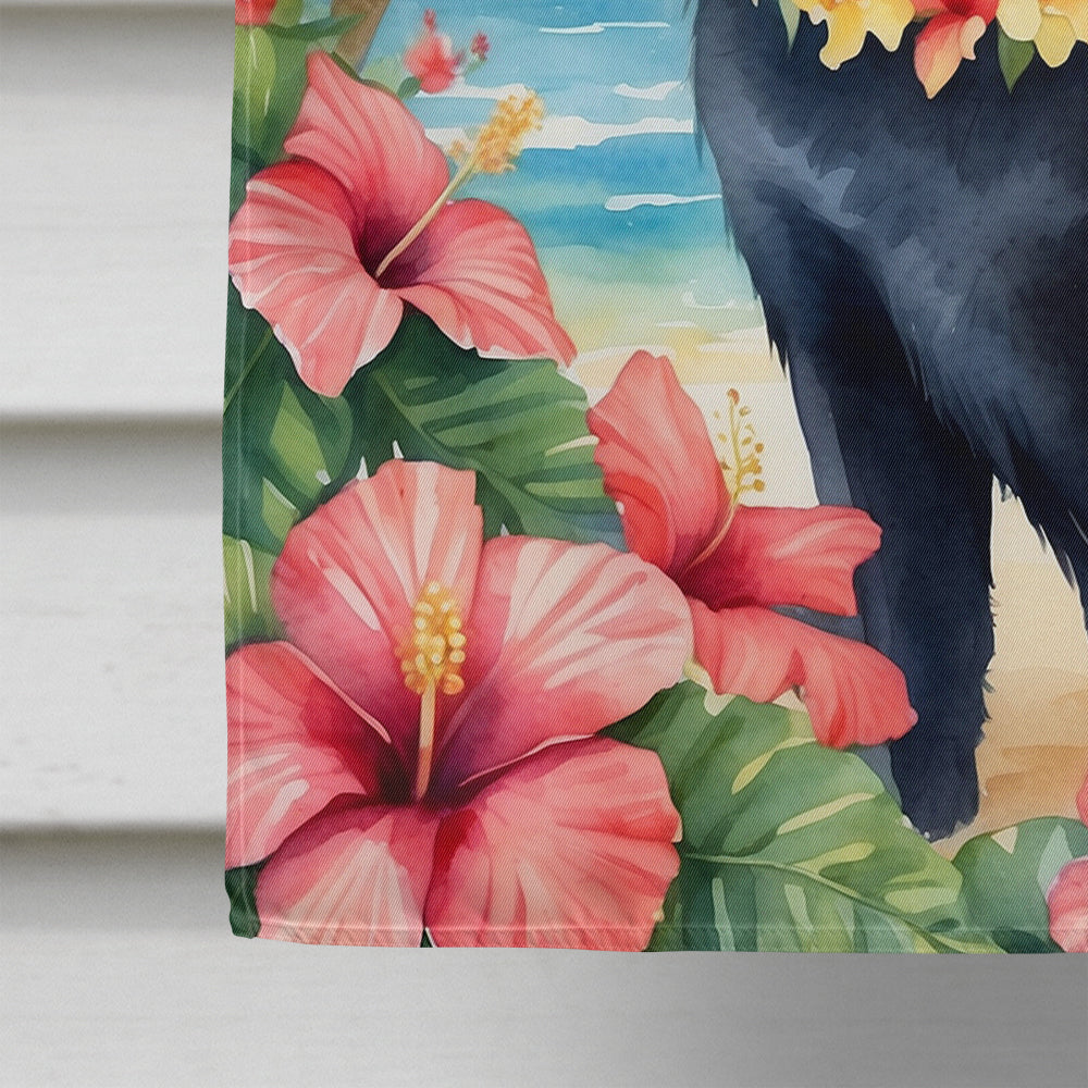 Schipperke Luau House Flag