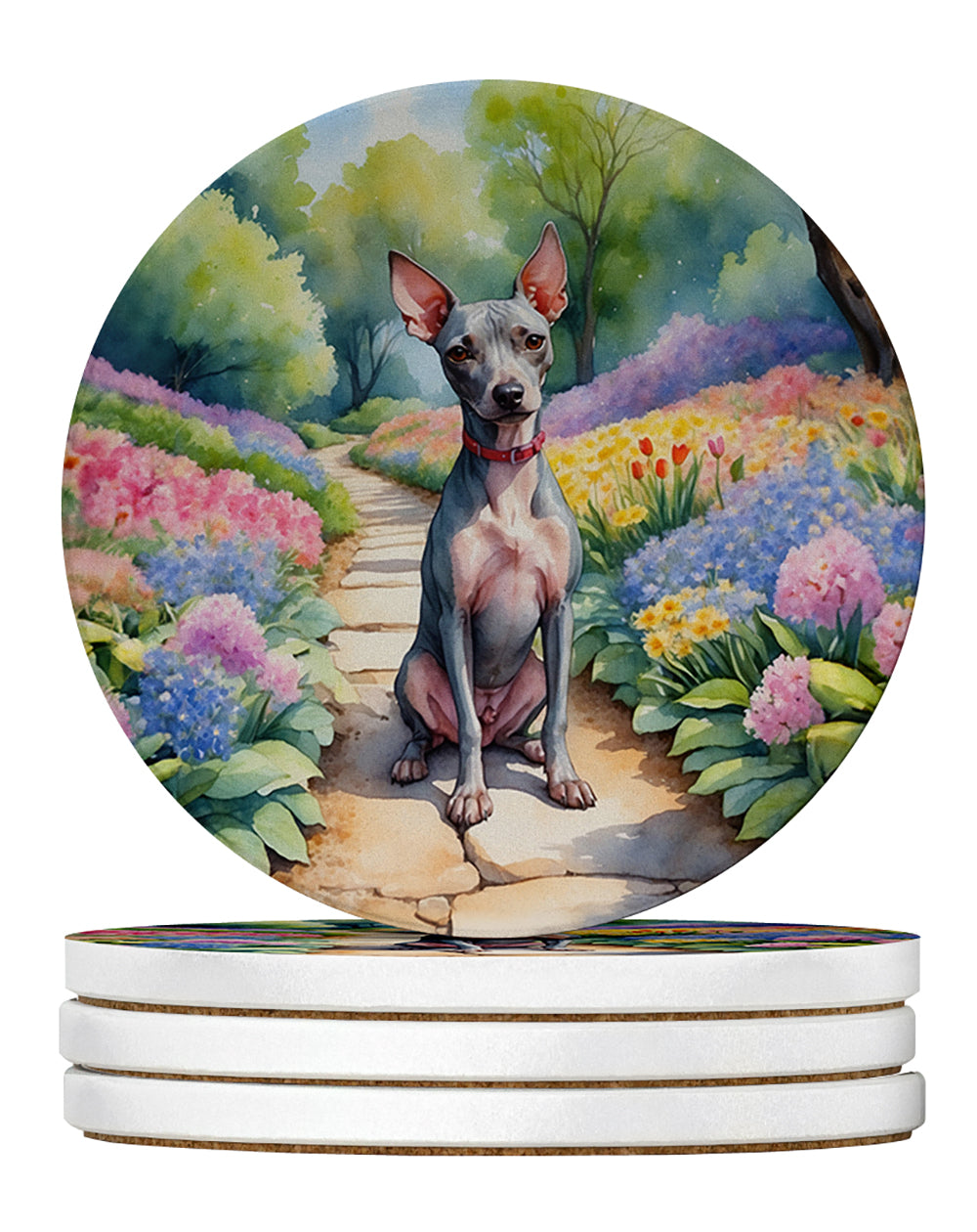 Buy this American Hairless Terrier Spring Garden Large Sandstone Coasters Pack of 4