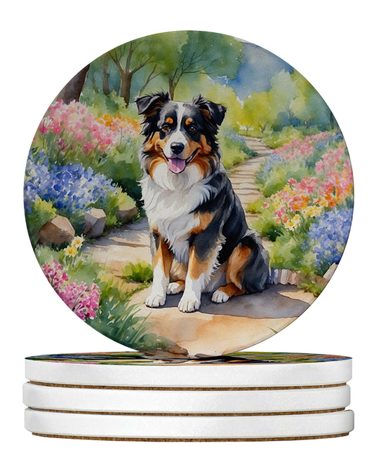 Buy this Australian Shepherd Spring Garden Large Sandstone Coasters Pack of 4