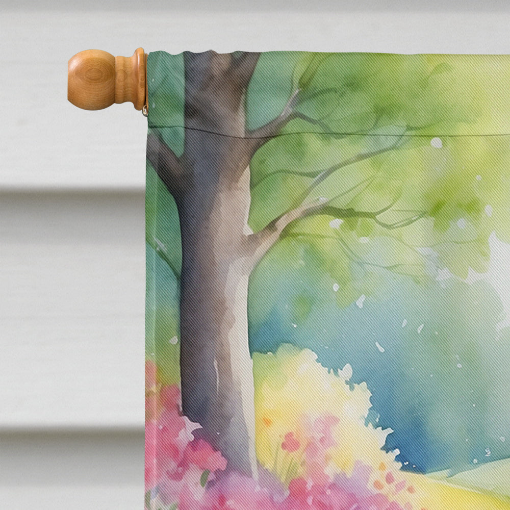 Border Collie Spring Path House Flag