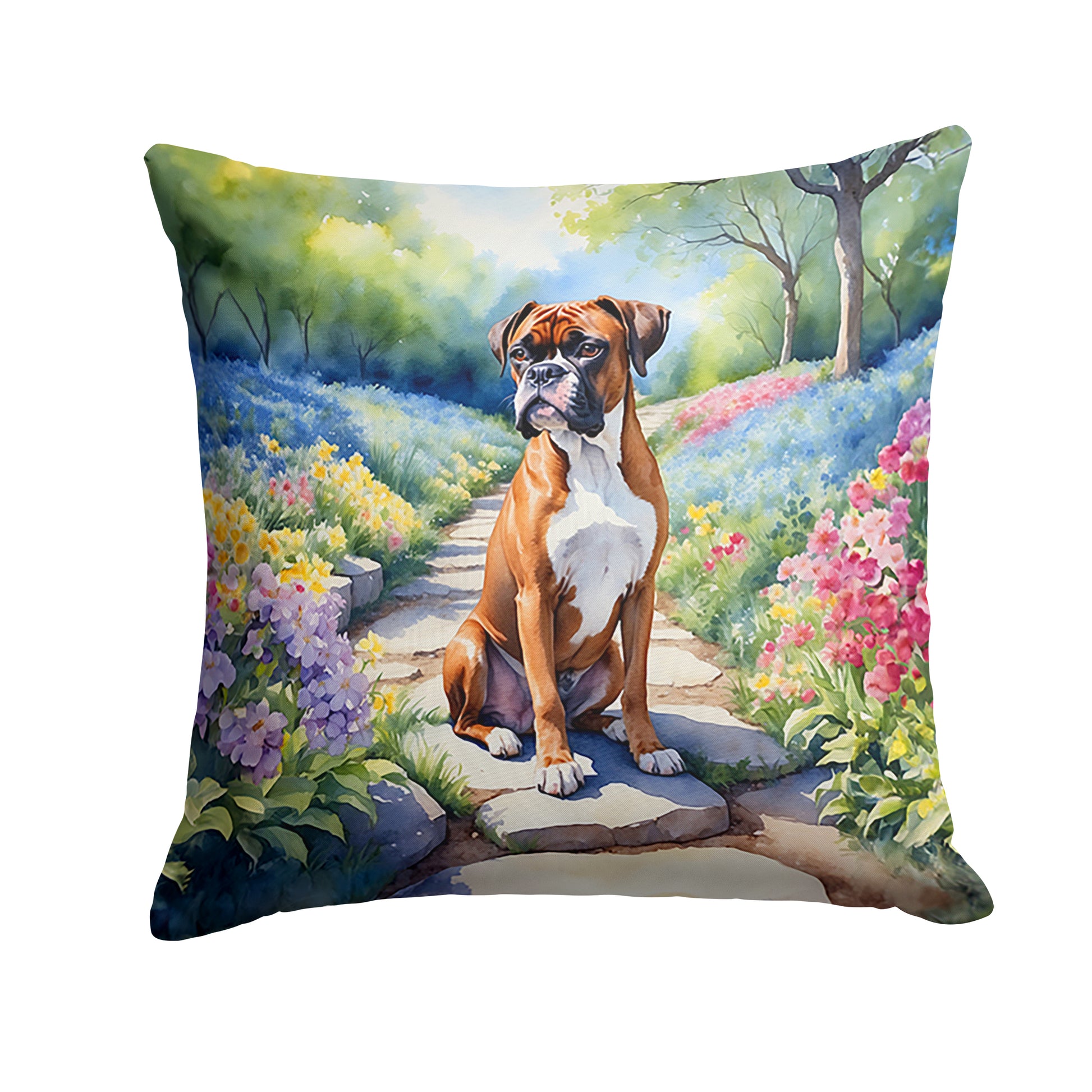 Buy this Boxer Spring Path Throw Pillow