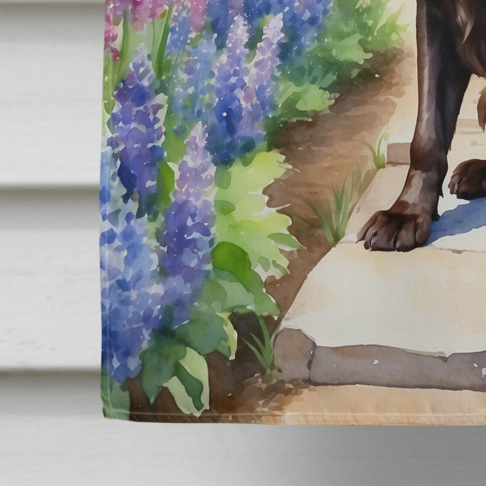 Boykin Spaniel Spring Path House Flag