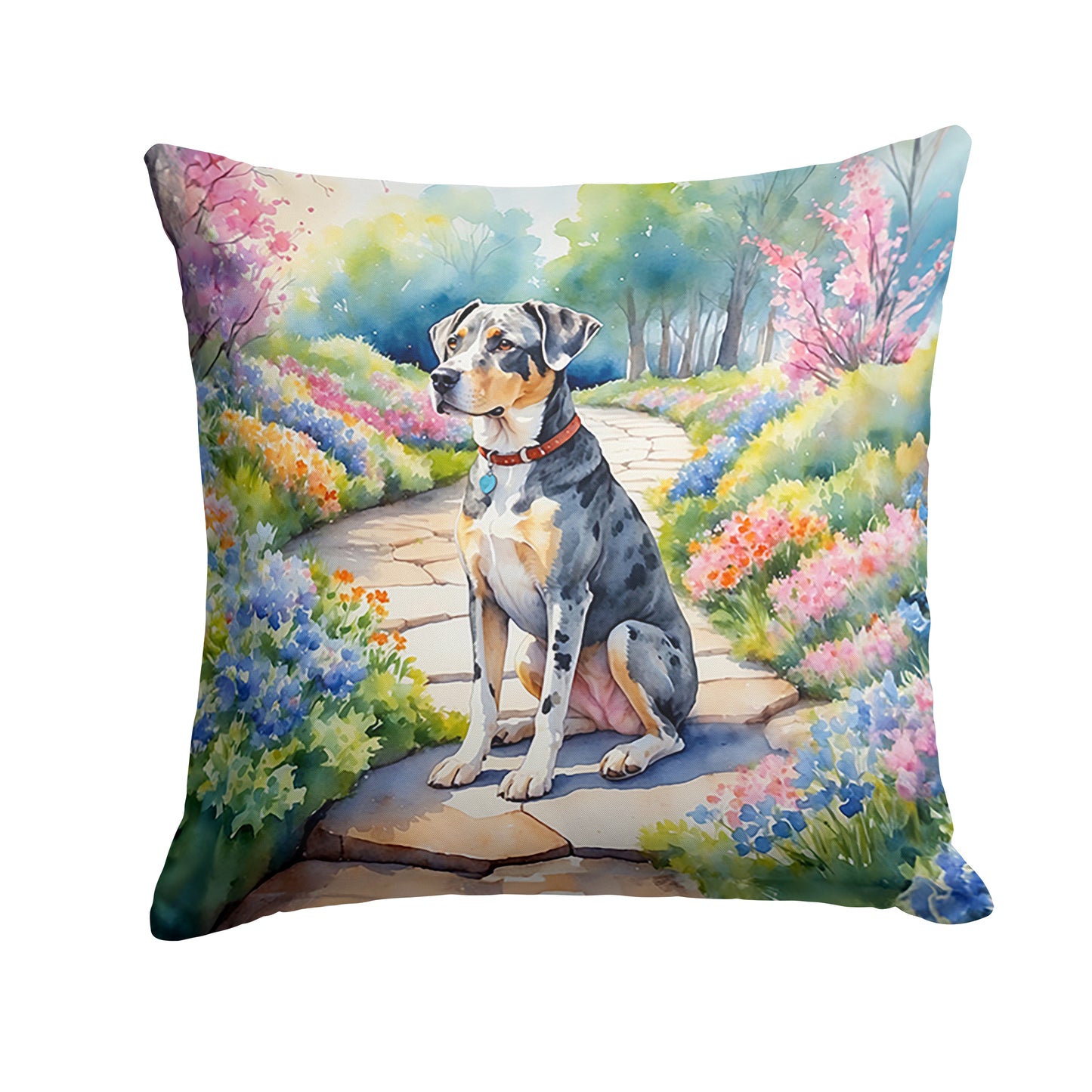 Buy this Catahoula Spring Path Throw Pillow