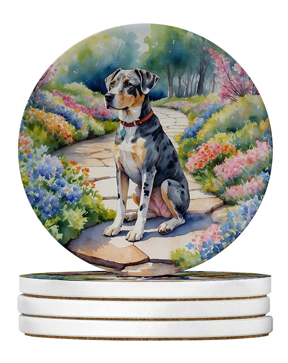 Buy this Catahoula Spring Path Large Sandstone Coasters Pack of 4