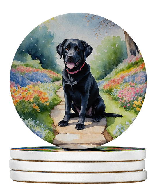 Buy this Labrador Retriever Spring Path Large Sandstone Coasters Pack of 4