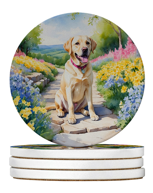 Buy this Labrador Retriever Spring Path Large Sandstone Coasters Pack of 4