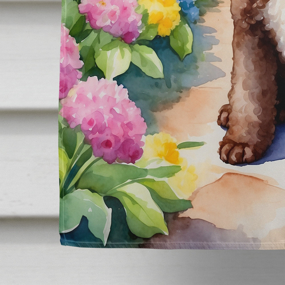 Chocolate Poodle Spring Path House Flag