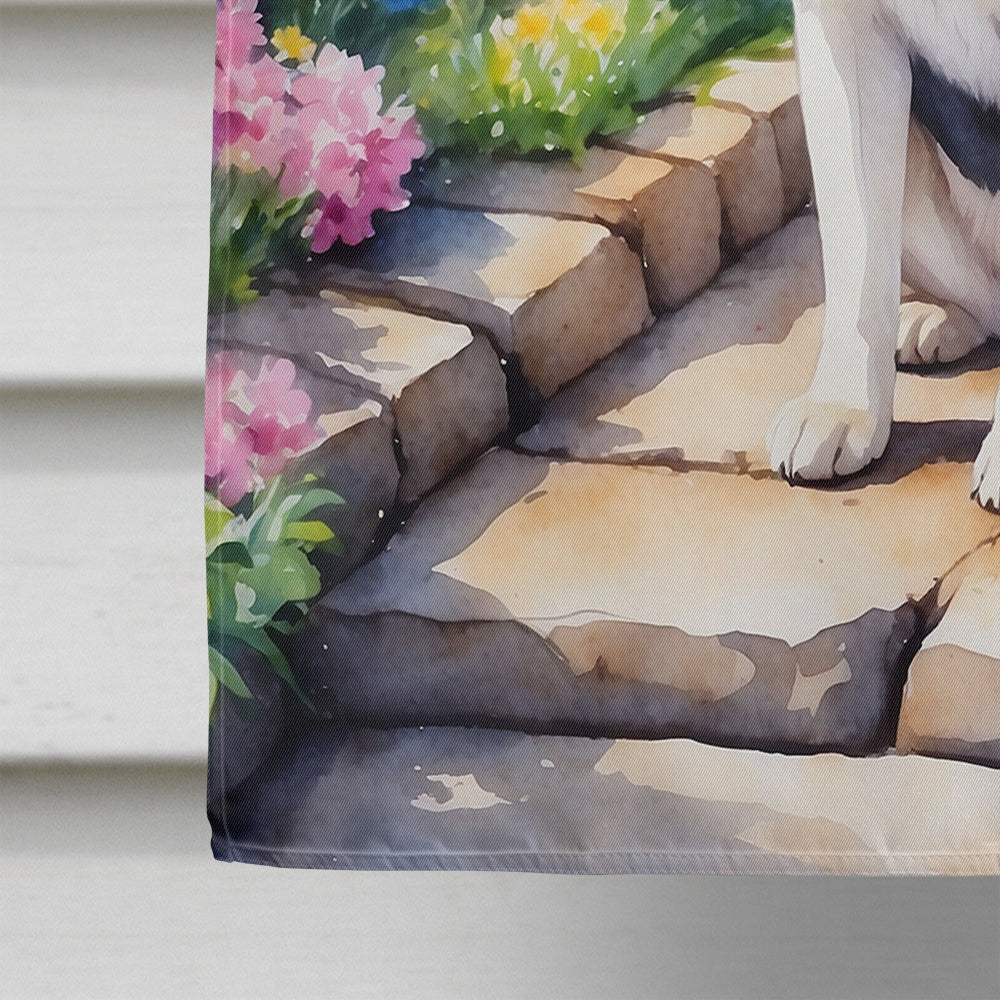 Siberian Husky Spring Path House Flag