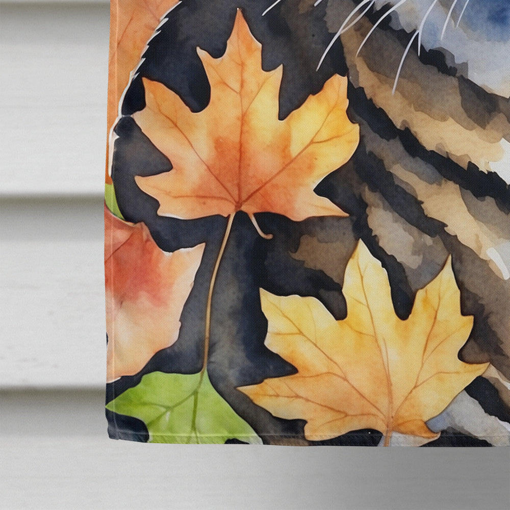 California Spangled Cat in Fall Leaves House Flag