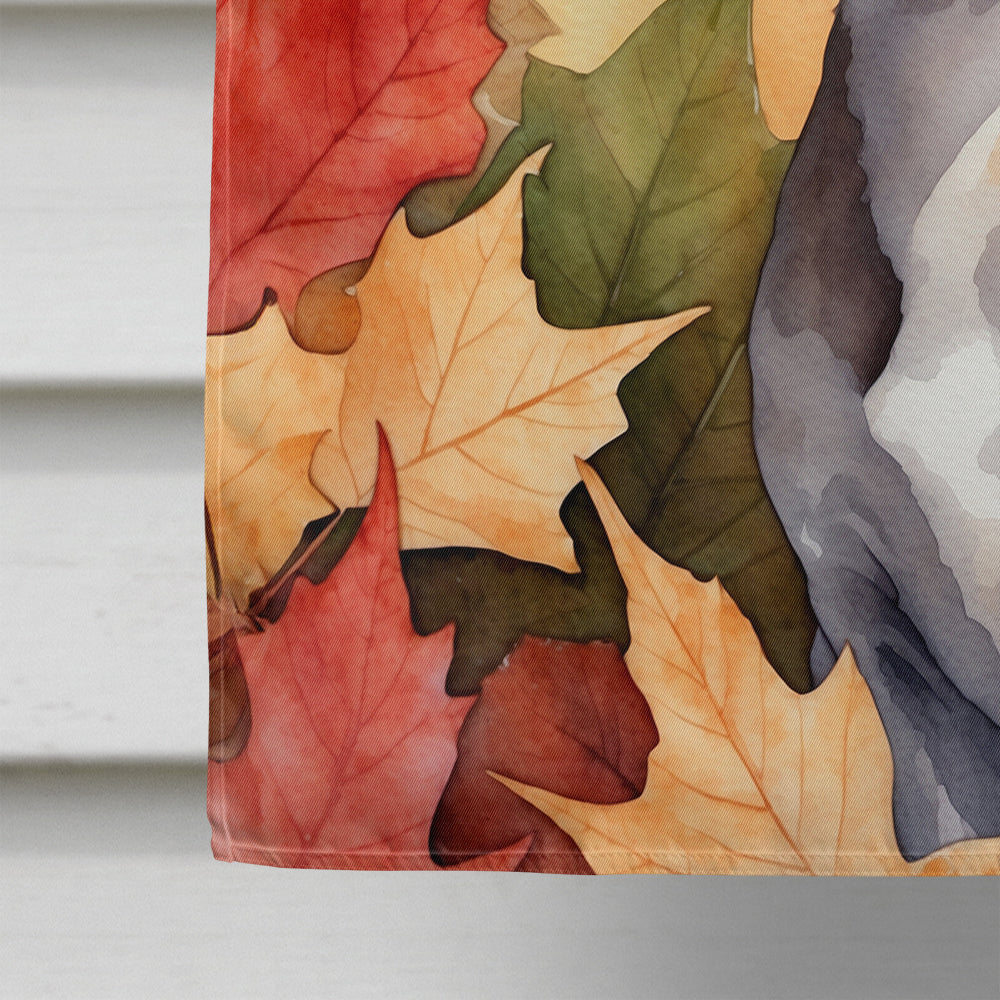 Cornish Rex Cat in Fall Leaves House Flag