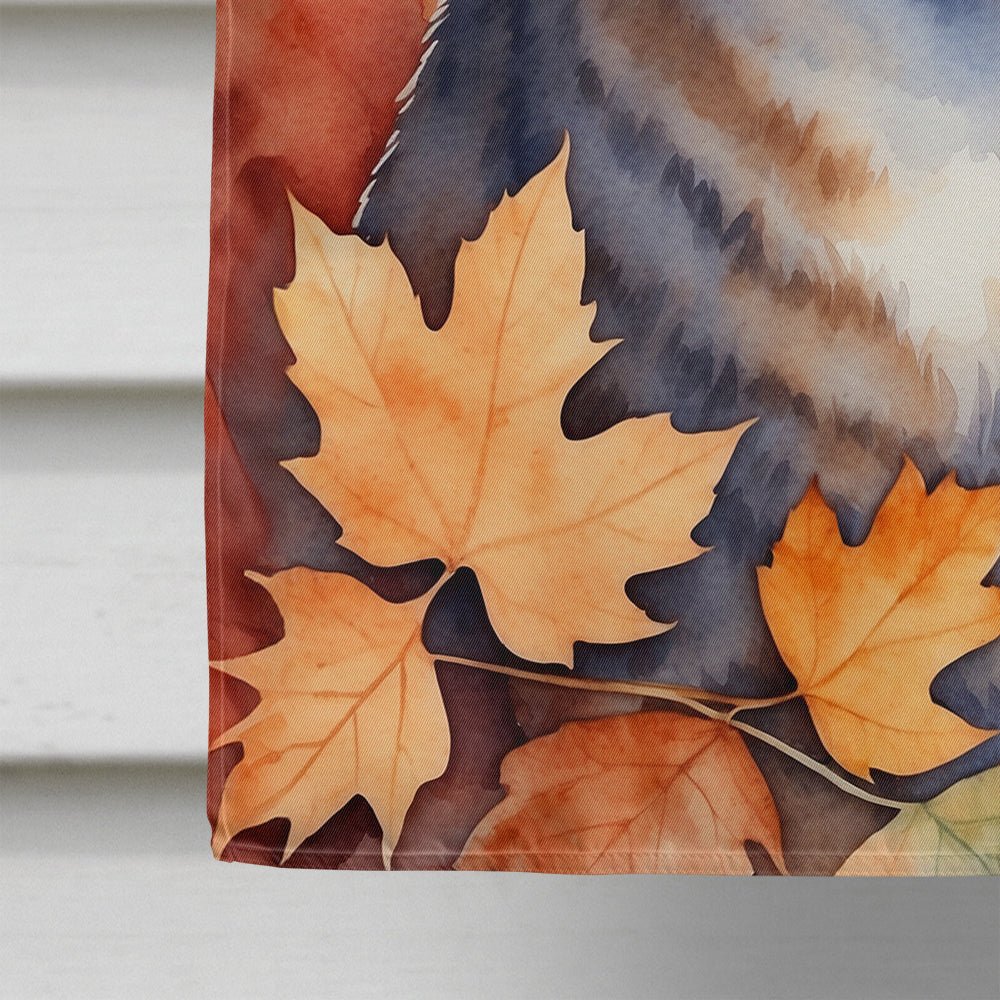 Raas Cat in Fall Leaves House Flag