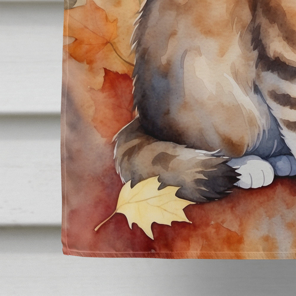 Ragamuffin Cat in Fall Leaves House Flag