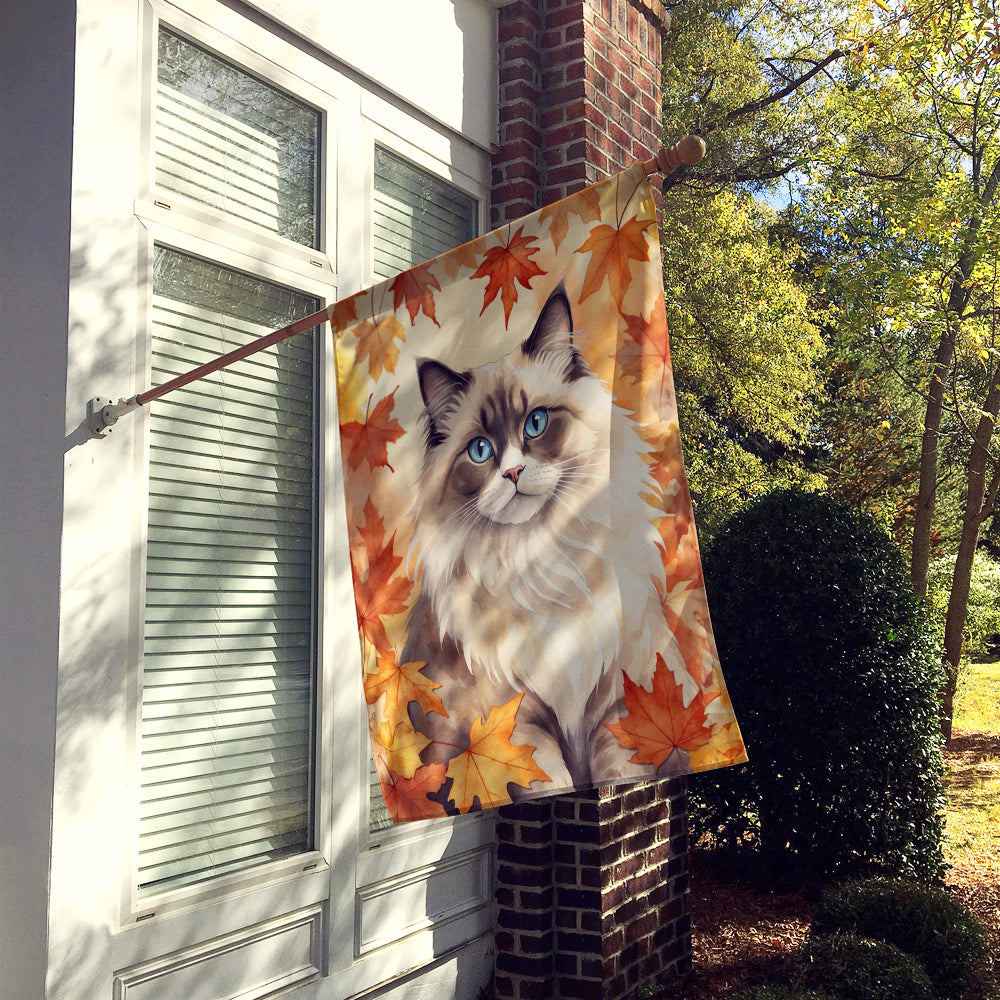 Ragdoll Cat in Fall Leaves House Flag