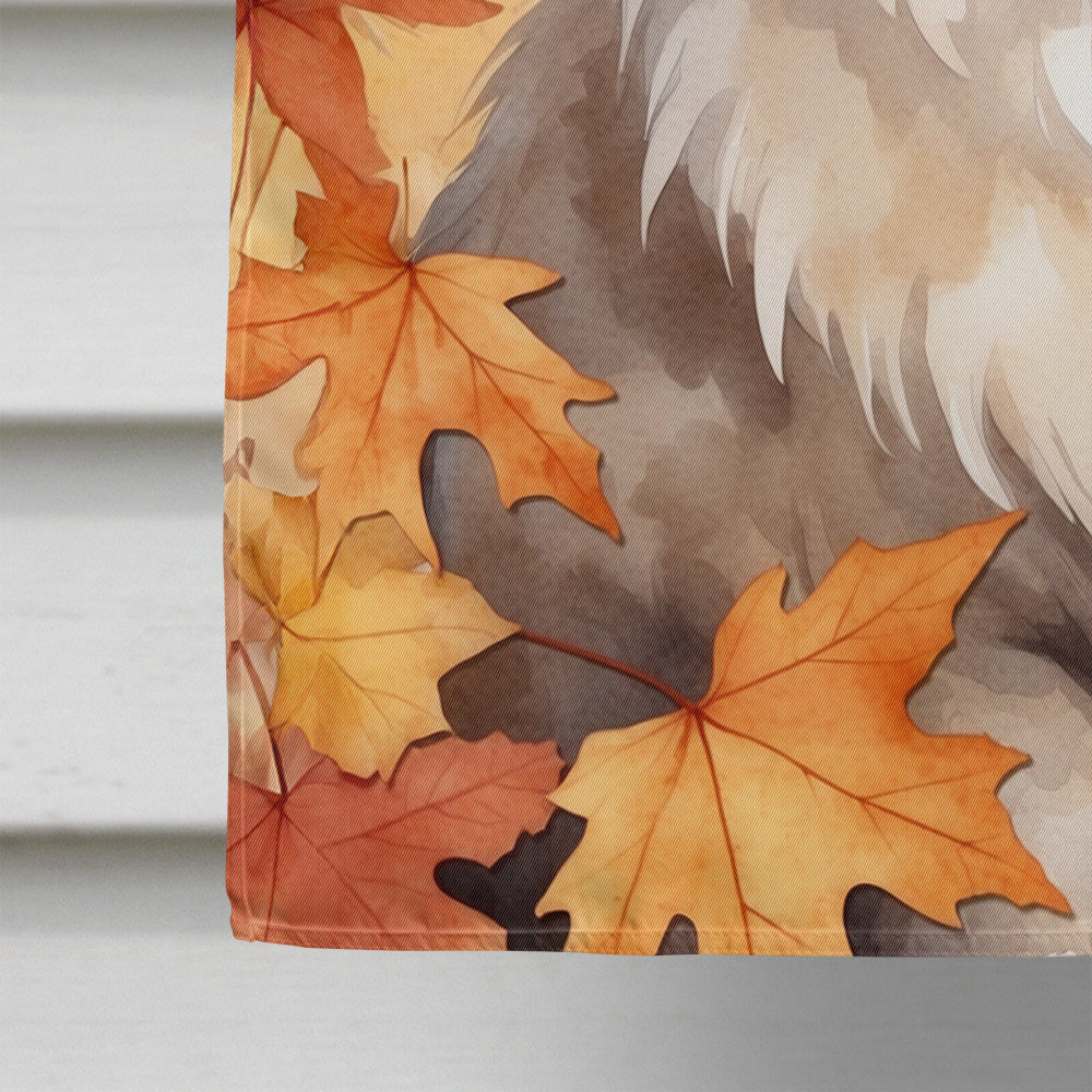 Ragdoll Cat in Fall Leaves House Flag