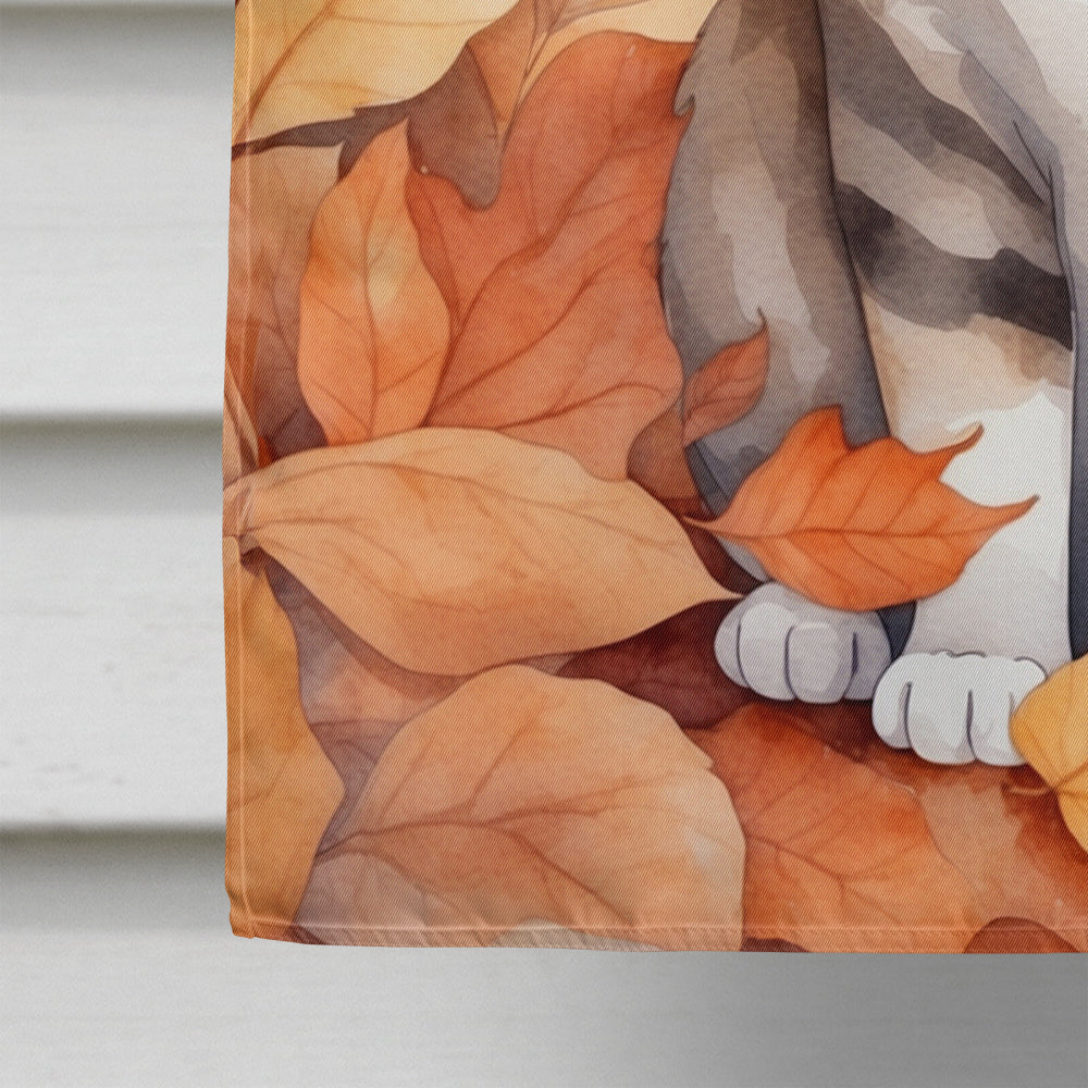 Scottish Fold Cat in Fall Leaves House Flag