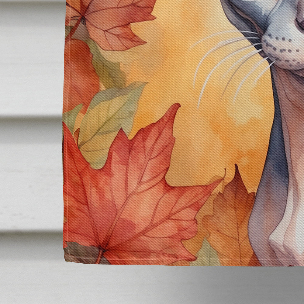 Sphynx Cat in Fall Leaves House Flag