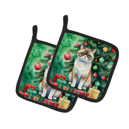 Buy this Exotic Shorthair Cat By the Christmas Tree Pair of Pot Holders