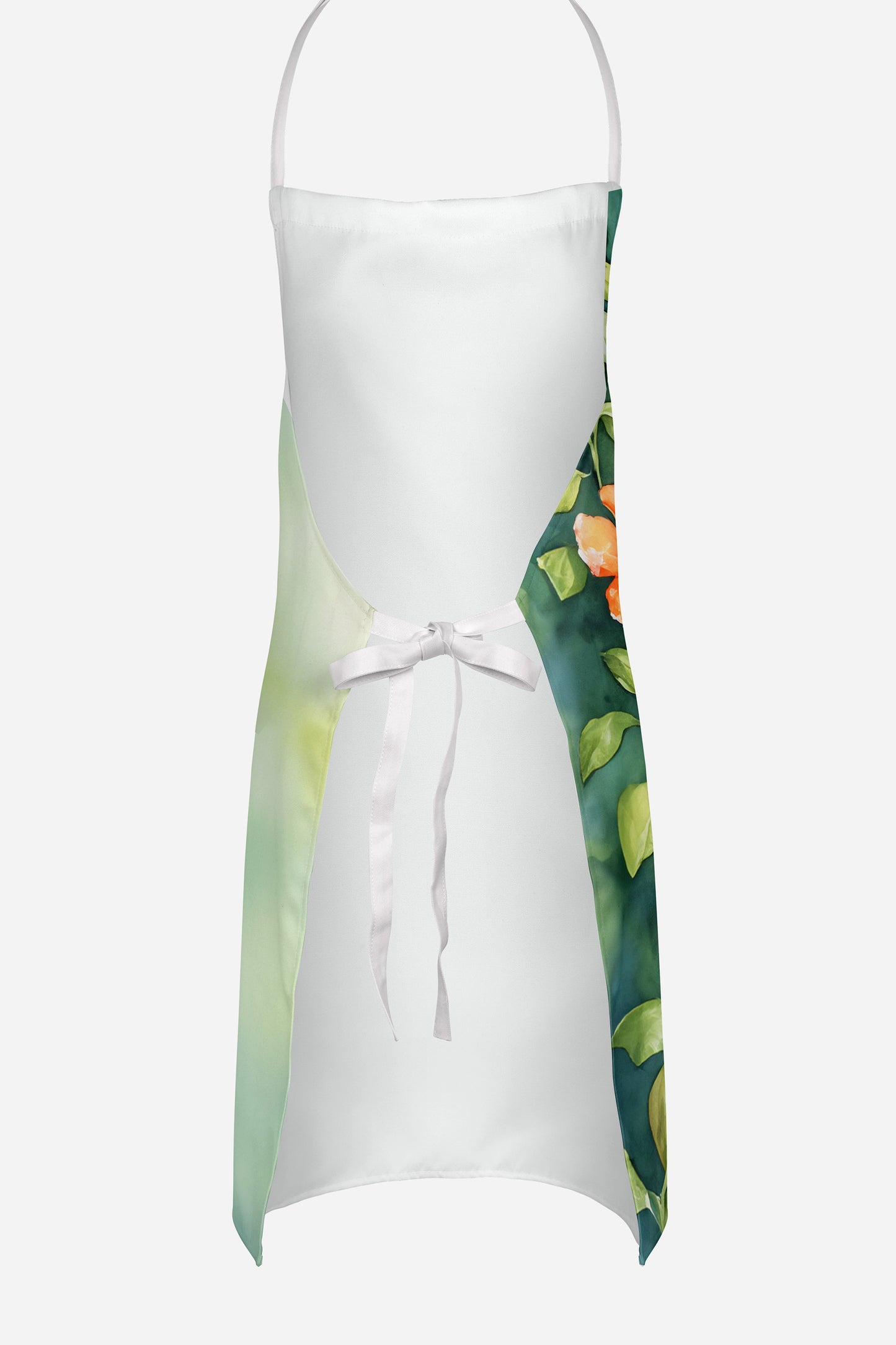 Rufous Hummingbird Apron