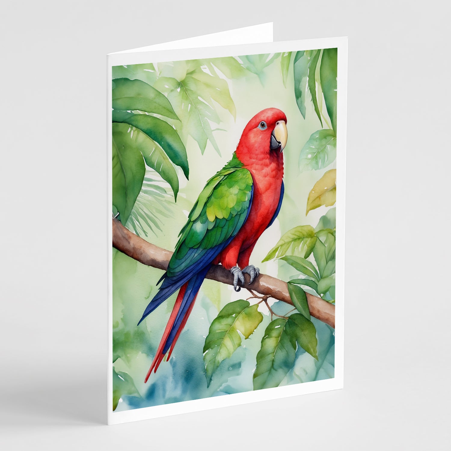 Buy this Eclectus Parrot Greeting Cards Pack of 8