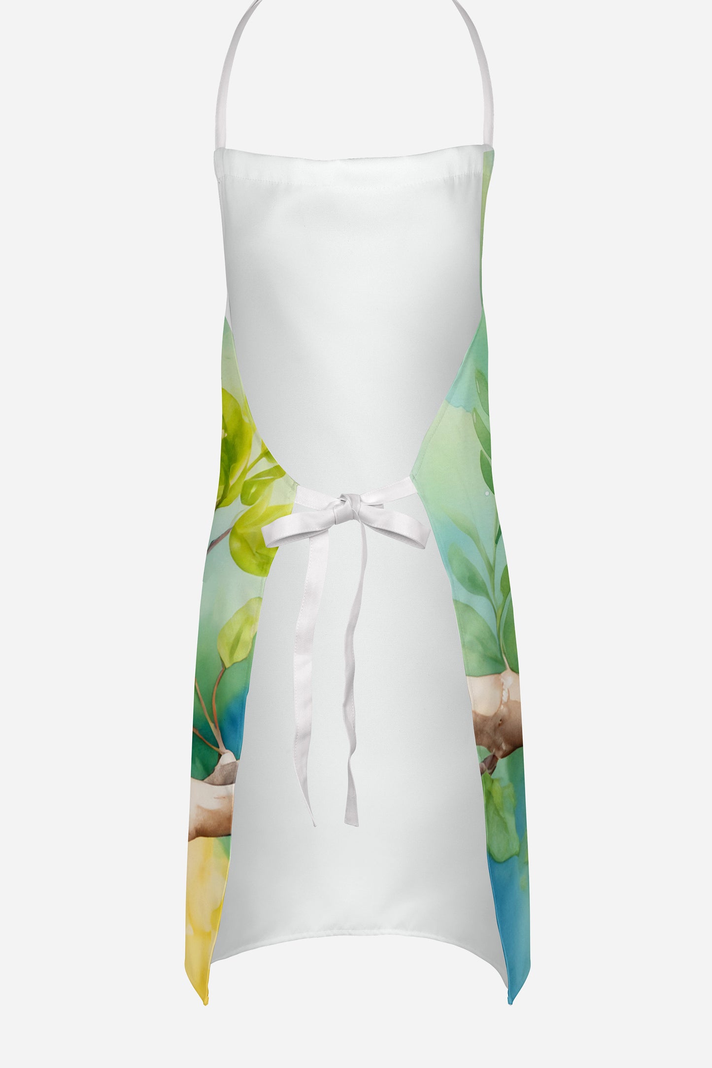 Parrotlet Apron