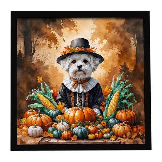 Buy this Maltese Thanksgiving Framed Metal Print