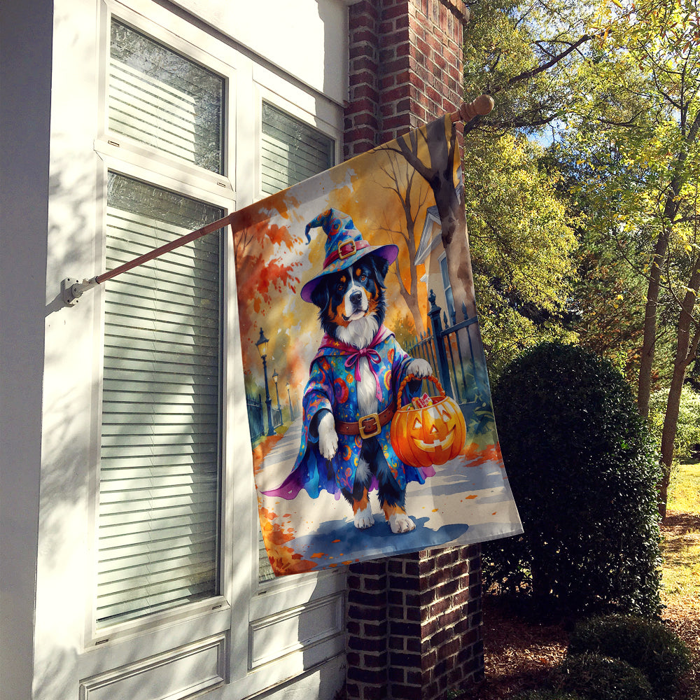 Bernese Mountain Dog Halloween Trick or Treat House Flag