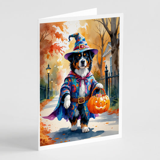 Buy this Bernese Mountain Dog Halloween Trick or Treat Greeting Cards Pack of 8