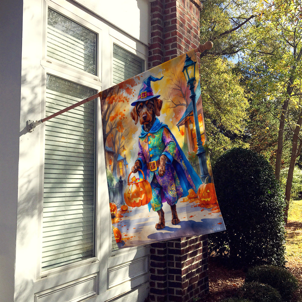 German Wirehaired Pointer Halloween Trick or Treat House Flag