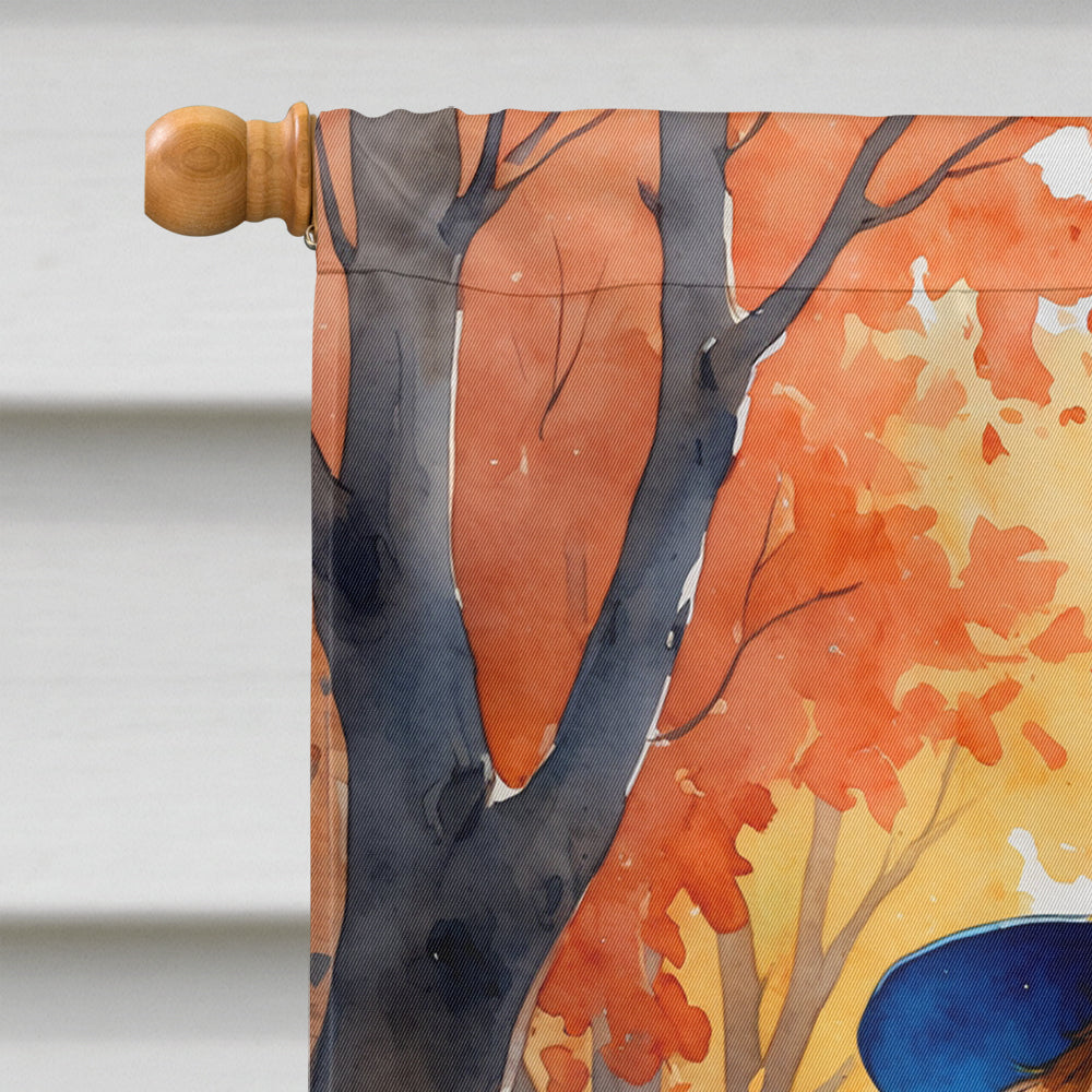 Saint Bernard Halloween Trick or Treat House Flag