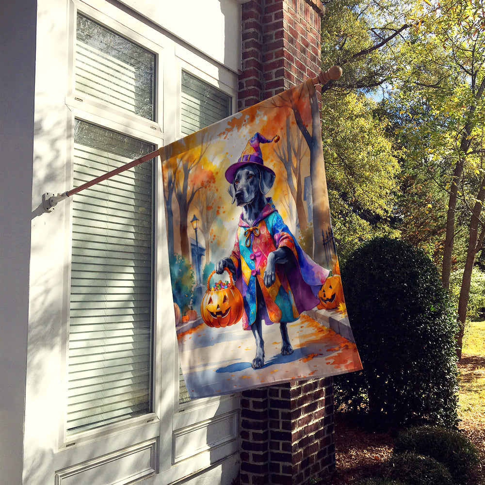 Weimaraner Halloween Trick or Treat House Flag