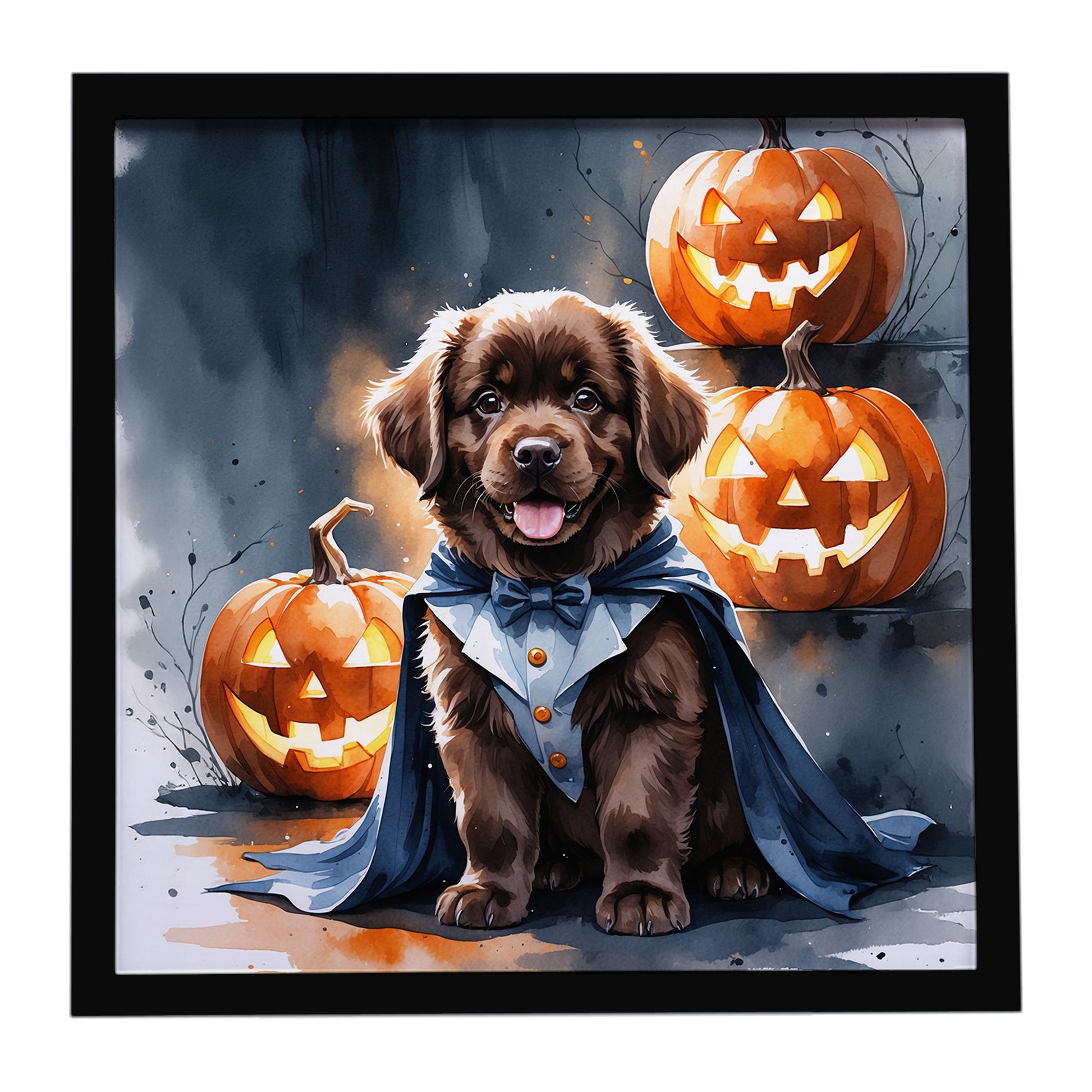 Buy this Chocolate Newfoundland Puppy Halloween Framed Metal Print