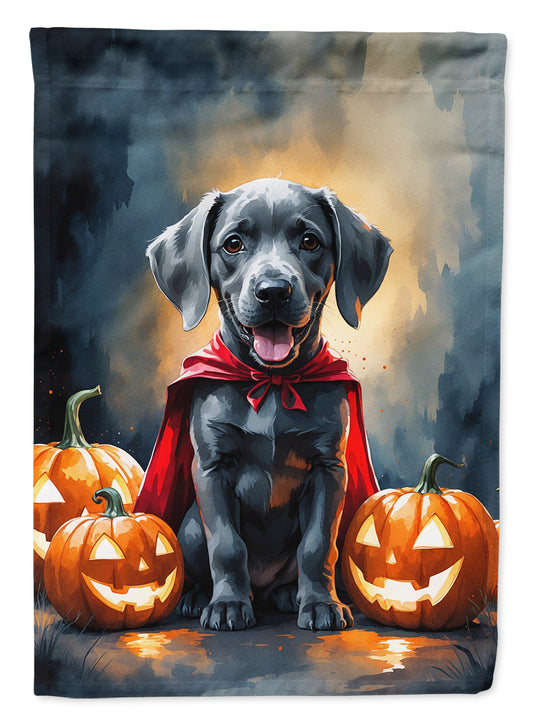 Buy this Weimaraner Puppy Halloween House Flag
