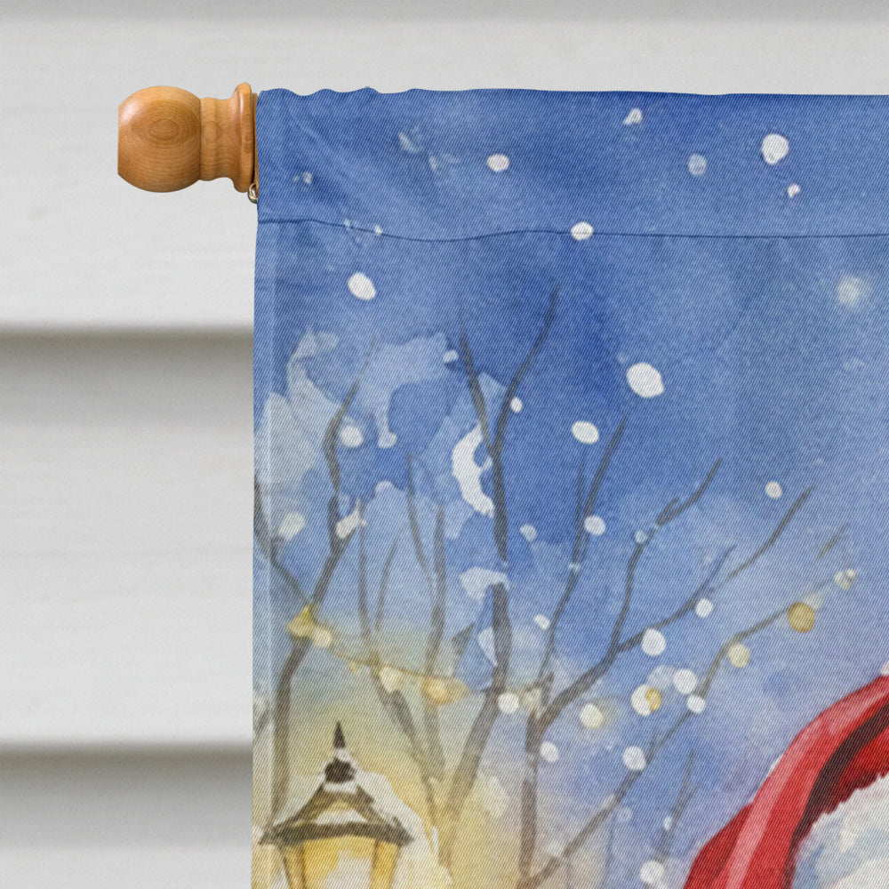 Bernedoodle with Santa Claus House Flag