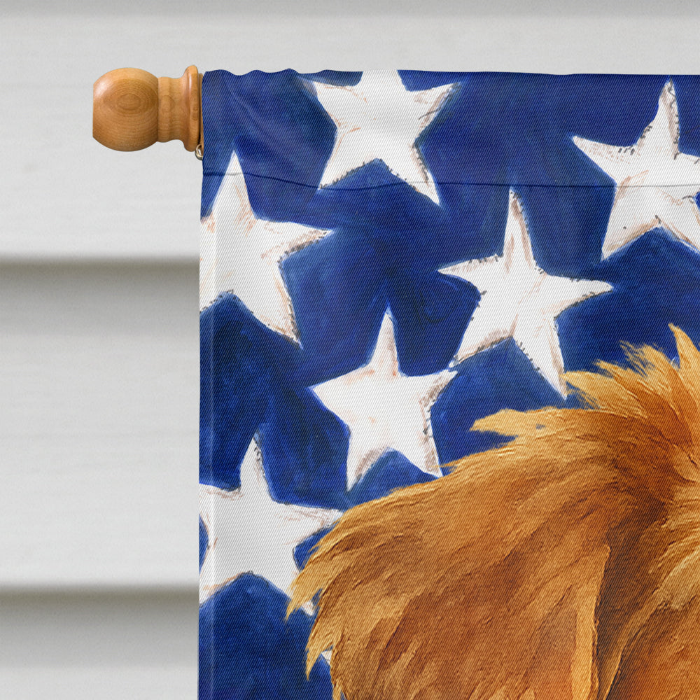Red Merle Australian Shepherd American Flag House Flag