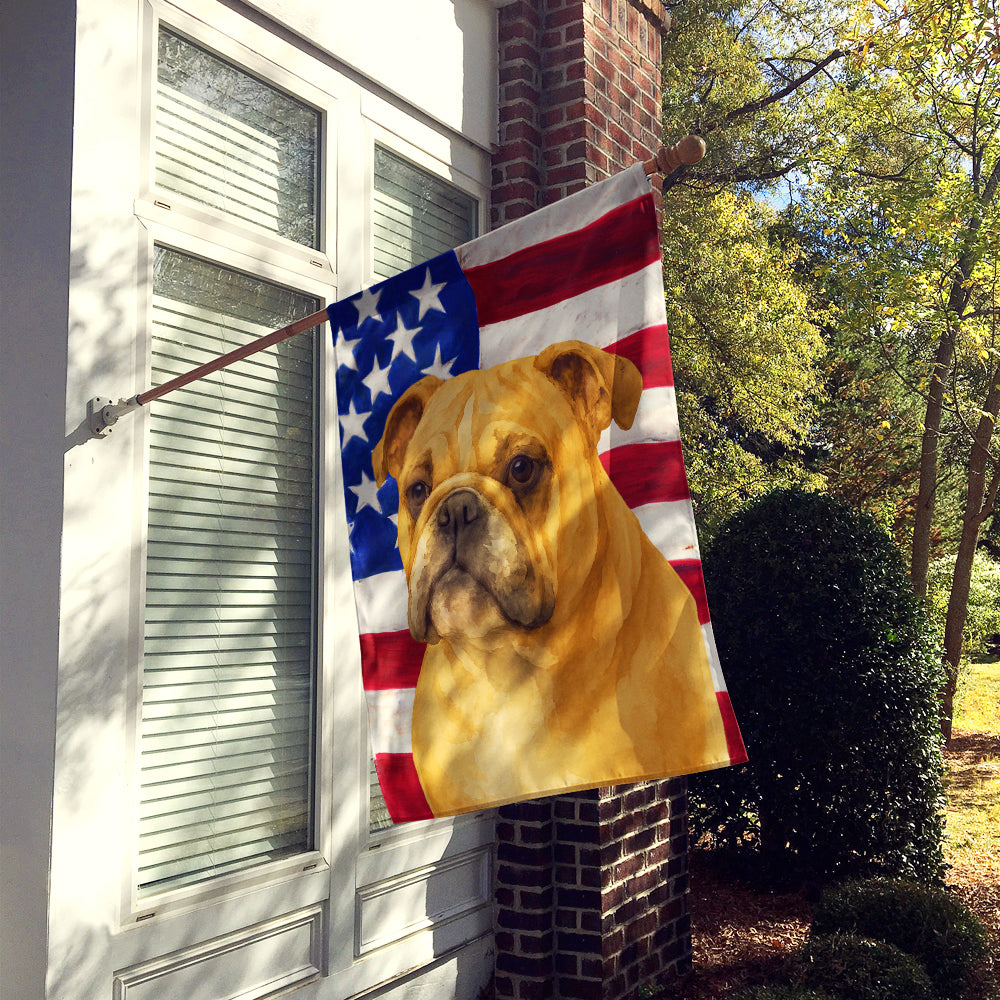 Fawn English Bulldog American Flag House Flag