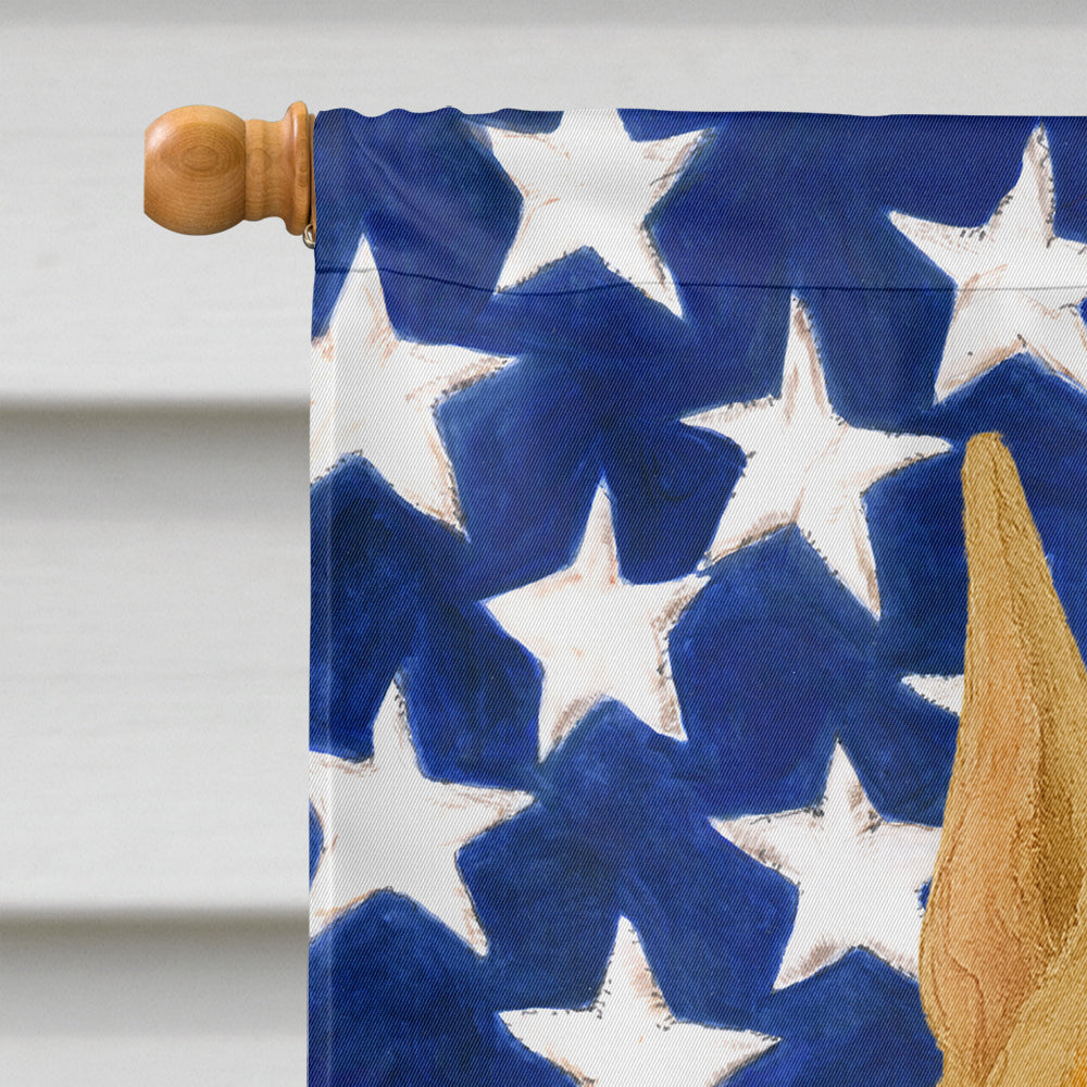 Fawn Doberman Pinscher American Flag House Flag