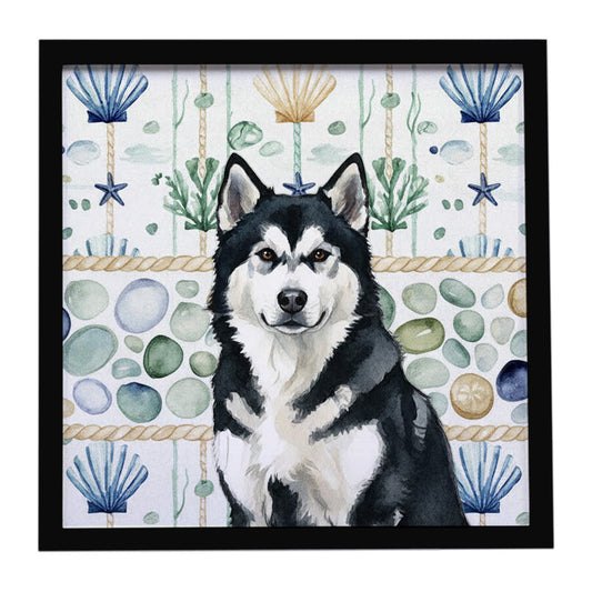 Buy this Black and White Alaskan Malamute Coastal Sea Glass Framed Metal Print