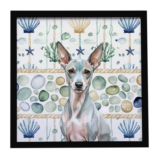 Buy this American Hairless Terrier Coastal Sea Glass Framed Metal Print