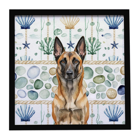 Buy this Belgian Malinois Coastal Sea Glass Framed Metal Print