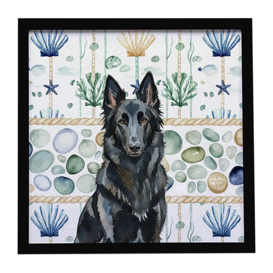 Buy this Belgian Sheepdog Groenendael Coastal Sea Glass Framed Metal Print