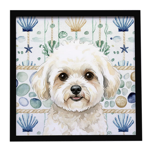 Buy this White and Cream Bichon Frise Coastal Sea Glass Framed Metal Print