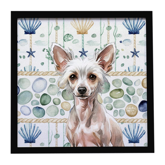 Buy this Hairless Chinese Crested Coastal Sea Glass Framed Metal Print