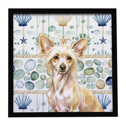 Buy this Hairless Palomino Chinese Crested Coastal Sea Glass Framed Metal Print