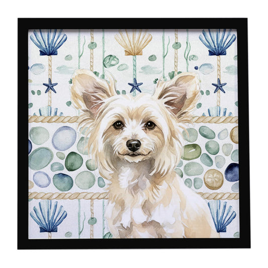 Buy this Powderpuff Chinese Crested Coastal Sea Glass Framed Metal Print