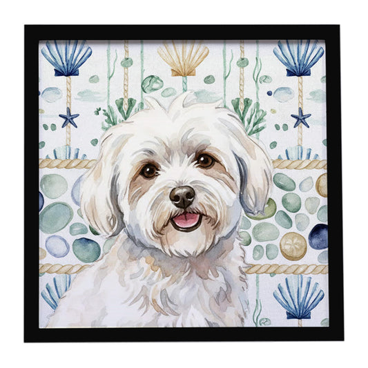 Buy this Coton de Tulear Coastal Sea Glass Framed Metal Print