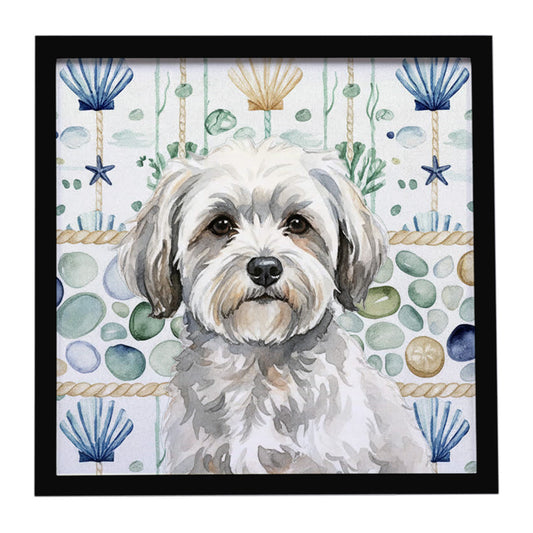 Buy this White with Gray Coton de Tulear Coastal Sea Glass Framed Metal Print
